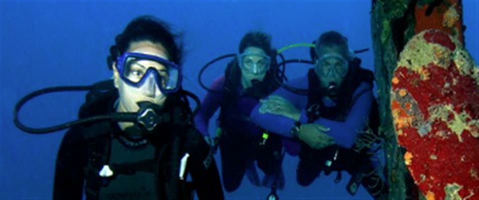 eLearn Wreck Diver Specialty- 3 person pricing